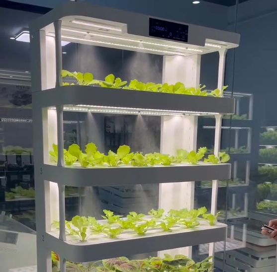 Máquina de cultivo hidropônico - Smart Home Diy avaliação e preço